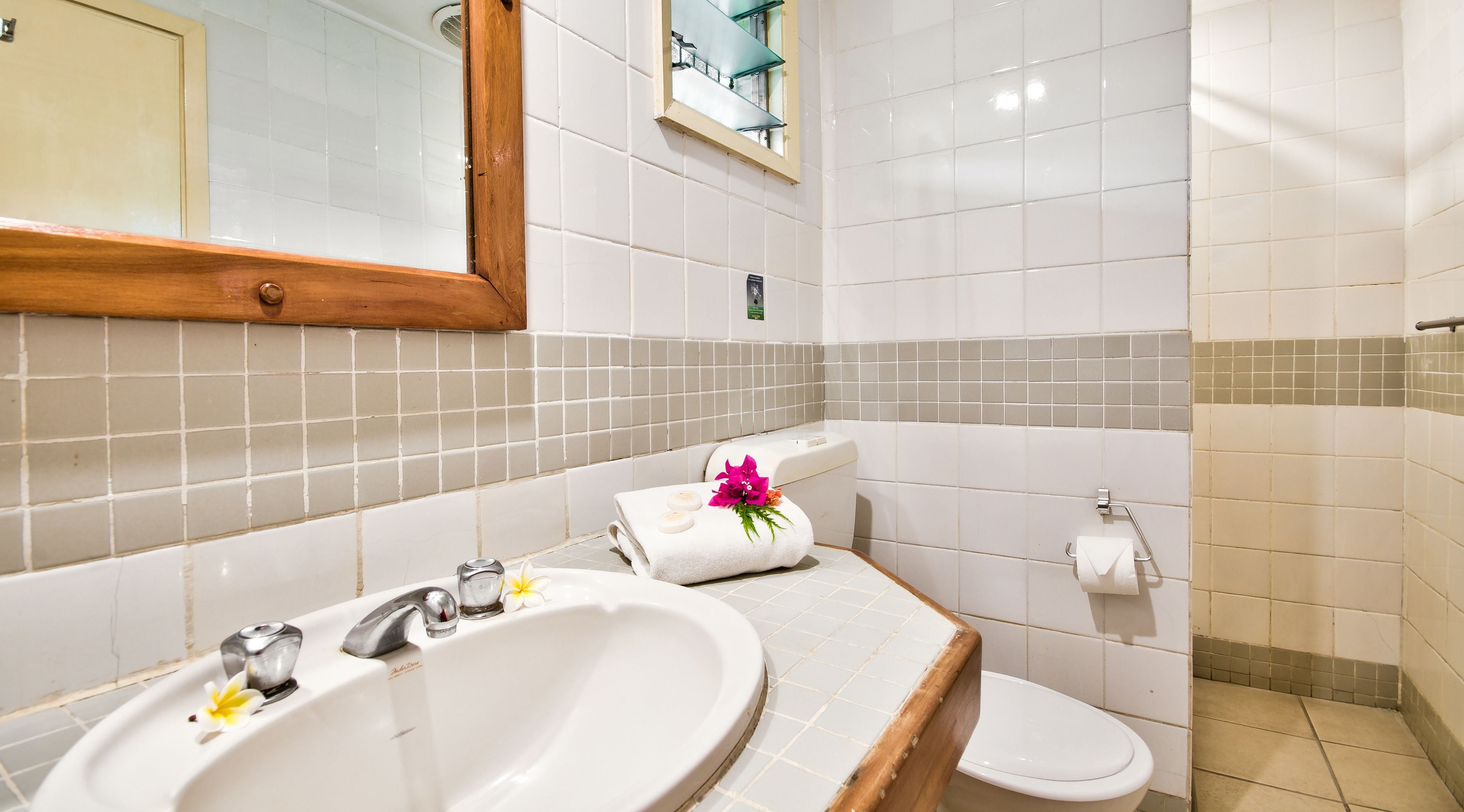 shower, free toiletries, hair dryer, towels