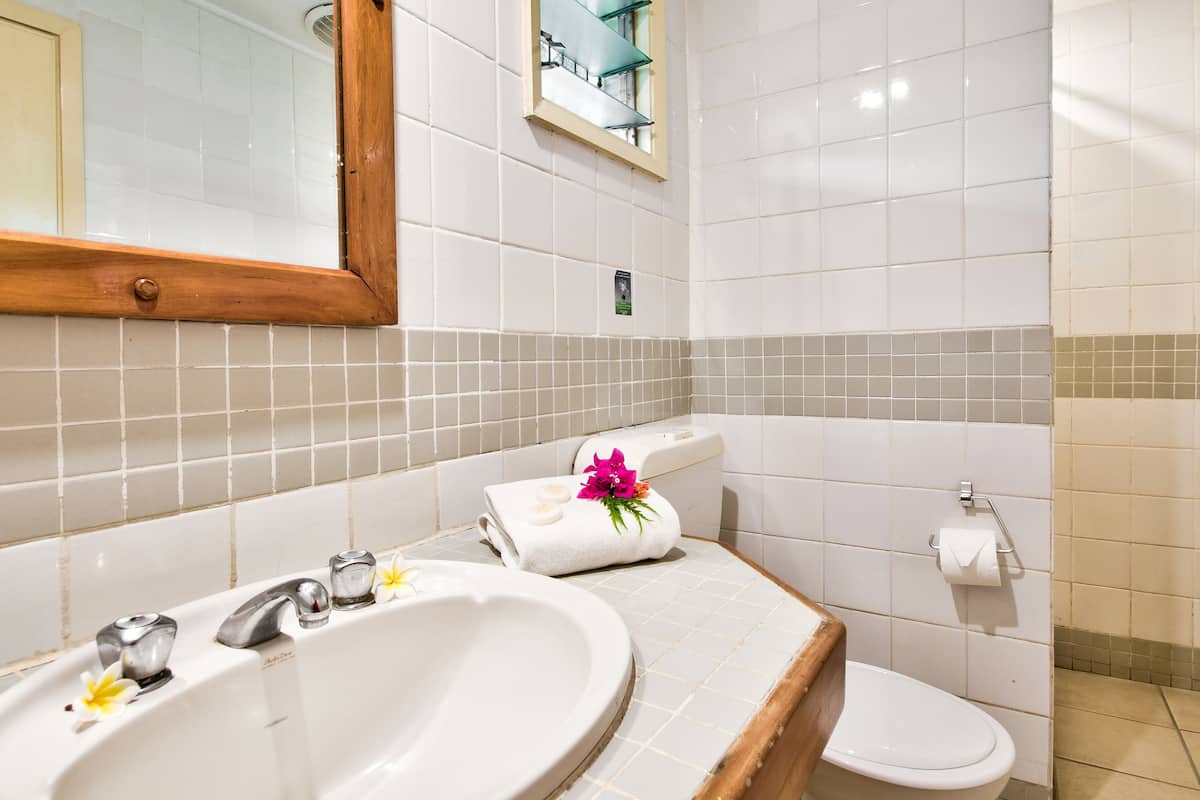 shower, free toiletries, hair dryer, towels