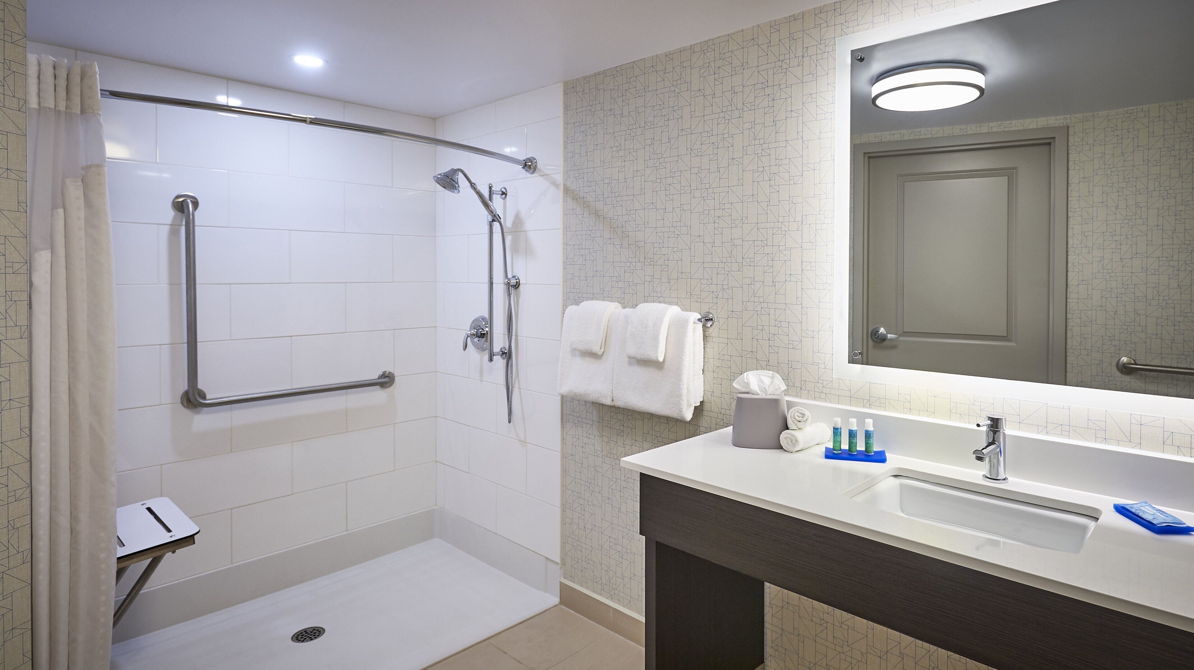 standard room, 1 queen bed, roll-in shower (communications accessible) | bathroom | free toiletries, hair dryer, towels