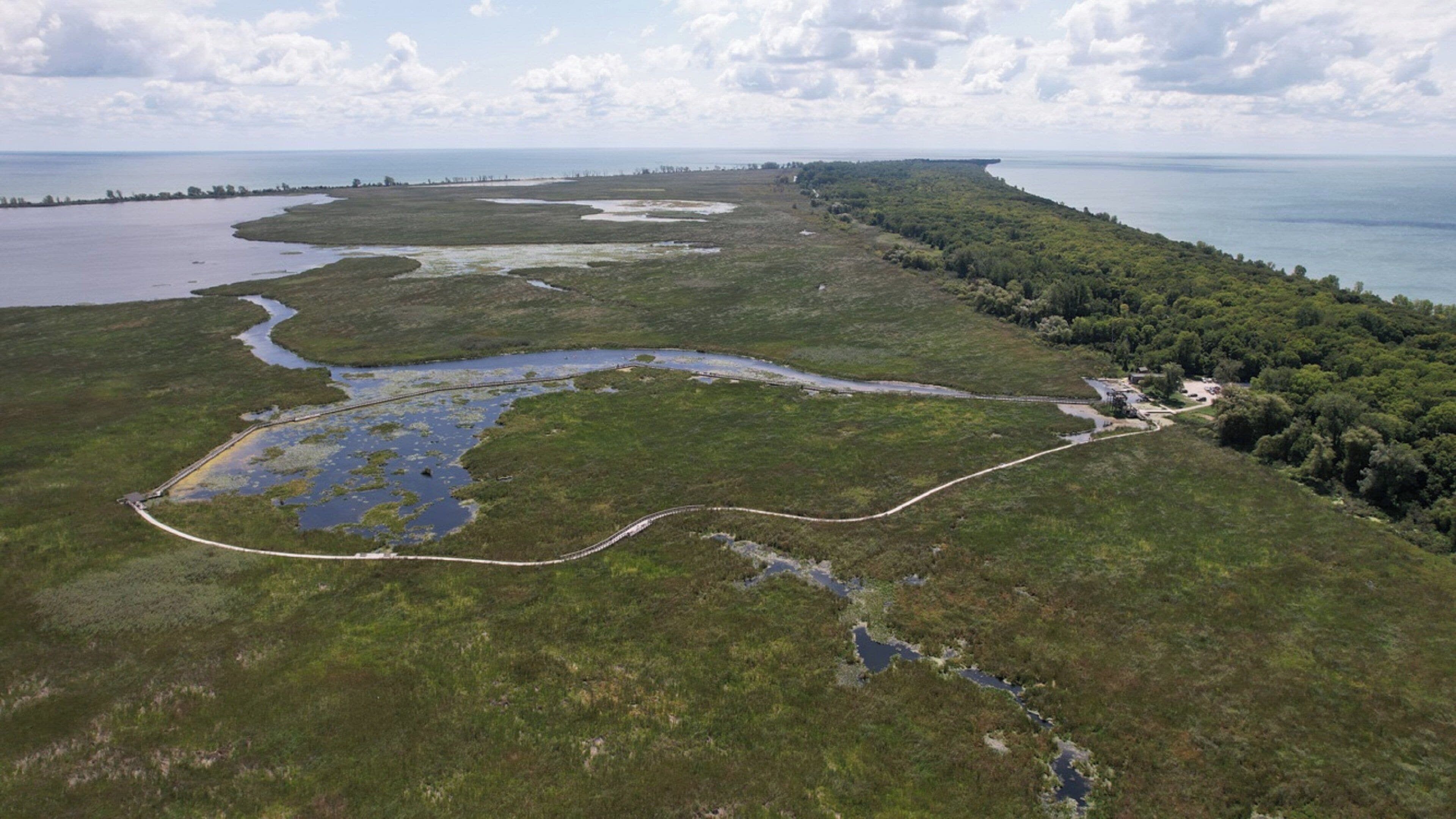 An aerial view of a coastal landscape with a winding waterway, dense forested area, and a small settlement by the water.