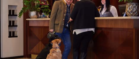 A reception area with a wooden reception desk, a potted plant, and a dog sitting on the floor.