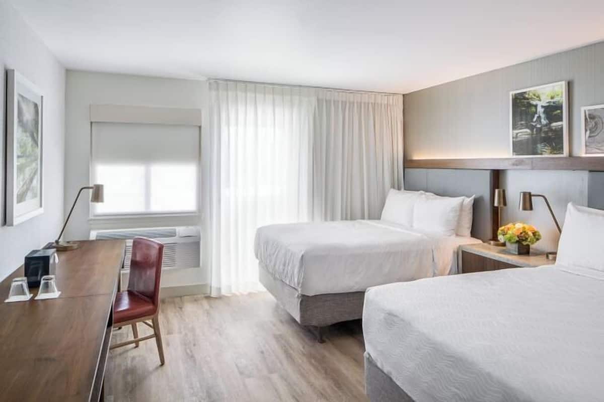 Hypo-allergenic bedding, in-room safe, desk, laptop workspace