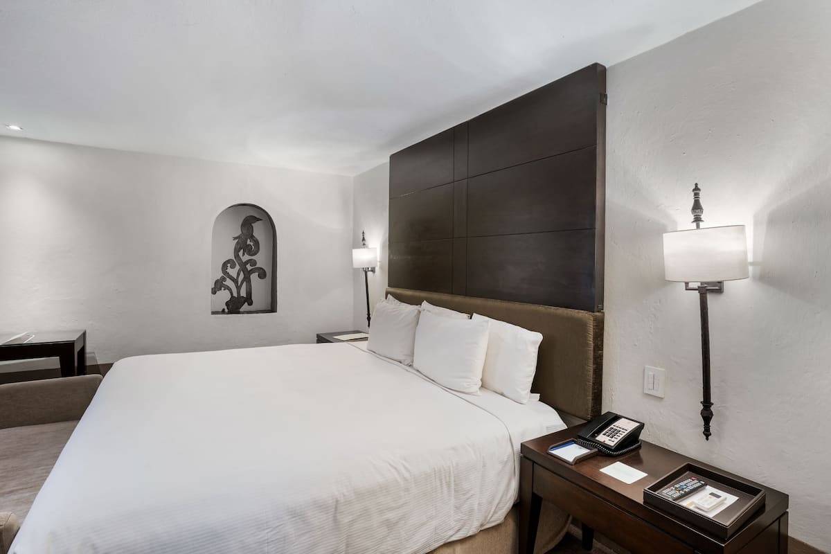 HabitaciĂłn Gran Clase Cama King Size