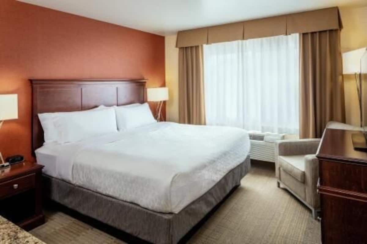 Hypo-allergenic bedding, desk, laptop workspace, blackout drapes