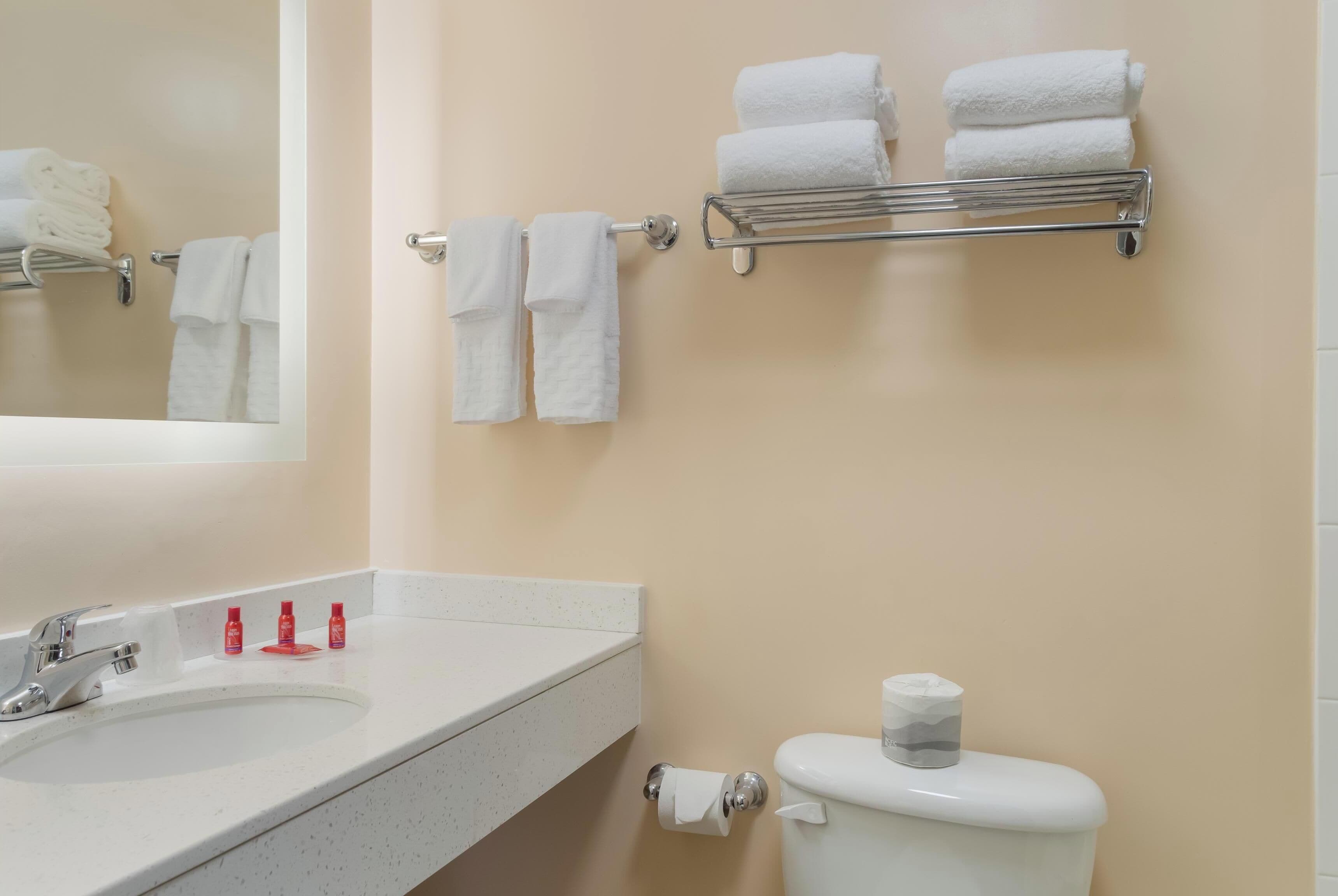 Une salle de bain équipée d’un lavabo, d’un miroir, d’un porte-serviettes, de toilettes et d’un rouleau de papier toilette.