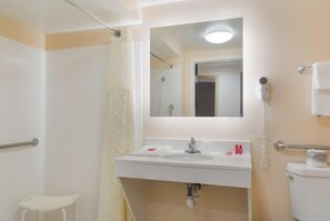 Queen Bed Accessible | Bathroom - All Seasons Inn & Suites Smithfield Providence (Smithfield)