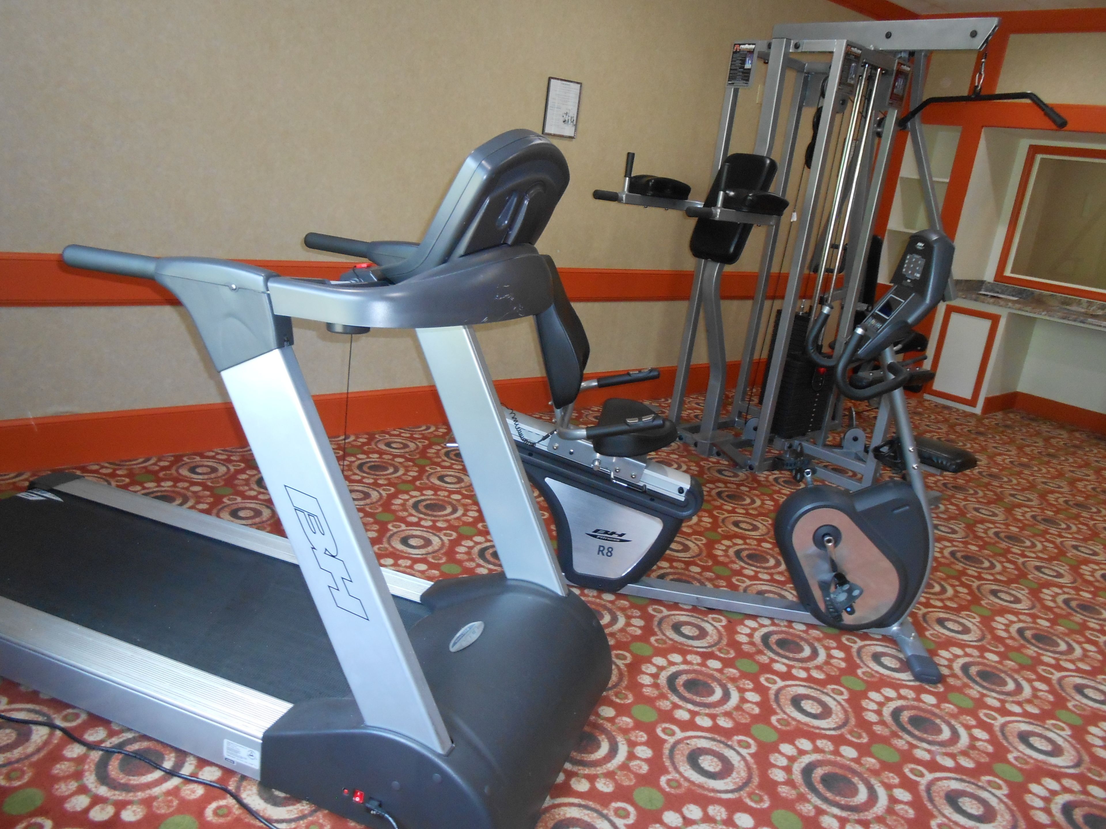 Une salle de sport équipée de tapis de course, d’appareils de musculation et d’un tapis à motifs.
