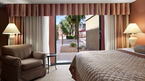 Una habitación de hotel con cama, una silla, una mesa y vistas al exterior.