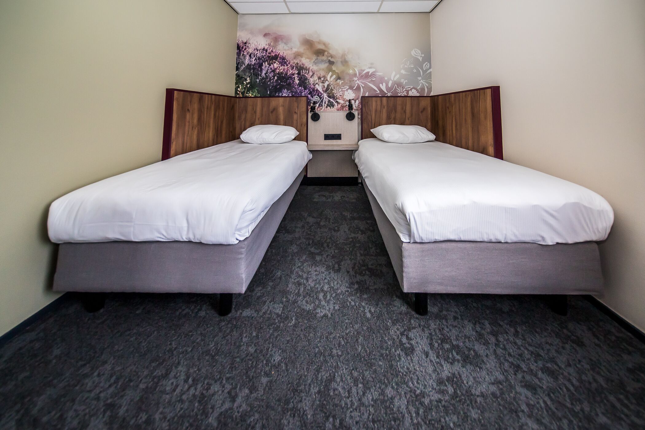Een hotelkamer met twee eenpersoonsbedden, een tapijtvloer en een muurschildering.
