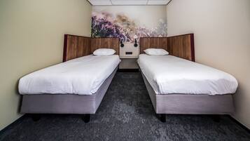 Een hotelkamer met twee eenpersoonsbedden, een tapijtvloer en een muurschildering.