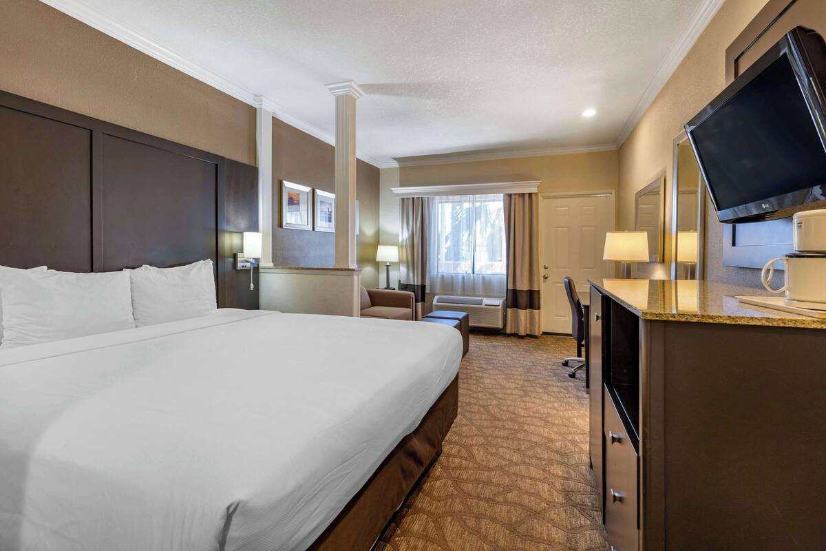 A hotel room with a large bed, a desk with a flat-screen TV, a chair, a desk lamp, and a window with curtains.