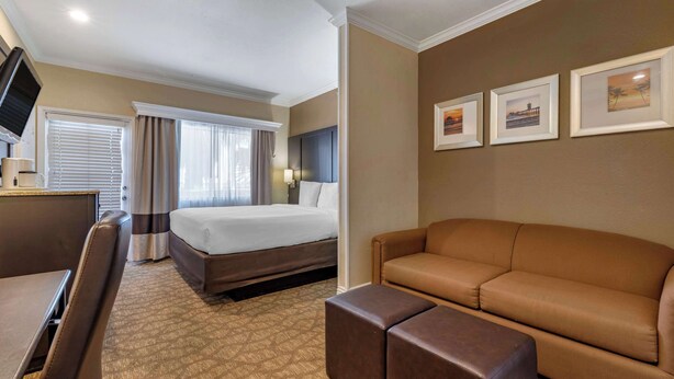 Une chambre d’hôtel avec un lit, un canapé, un bureau et une télévision.