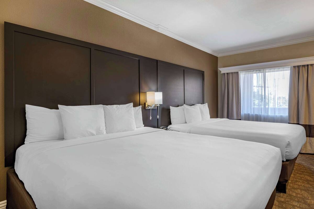 A hotel room with two beds, a large dark headboard, a nightstand with a lamp, and a window with curtains.