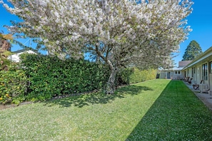 Studio (King, Spa Bath) | Soundproofing, iron/ironing board, free WiFi, alarm clocks - Quality Inn Acapulco Taupo (Taupo)