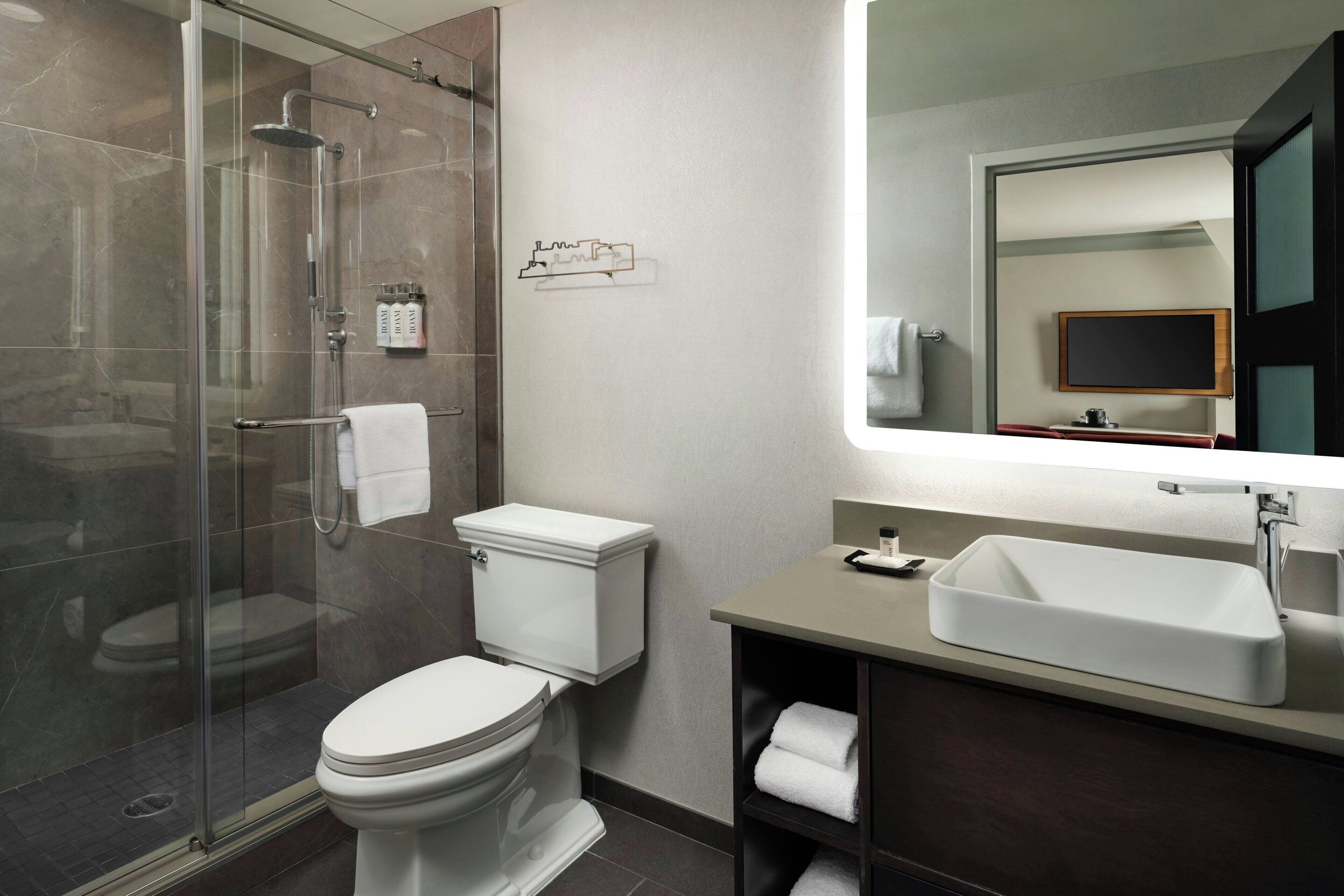 A modern bathroom with a glass-enclosed shower, a white toilet, a large mirror, and a rectangular sink.