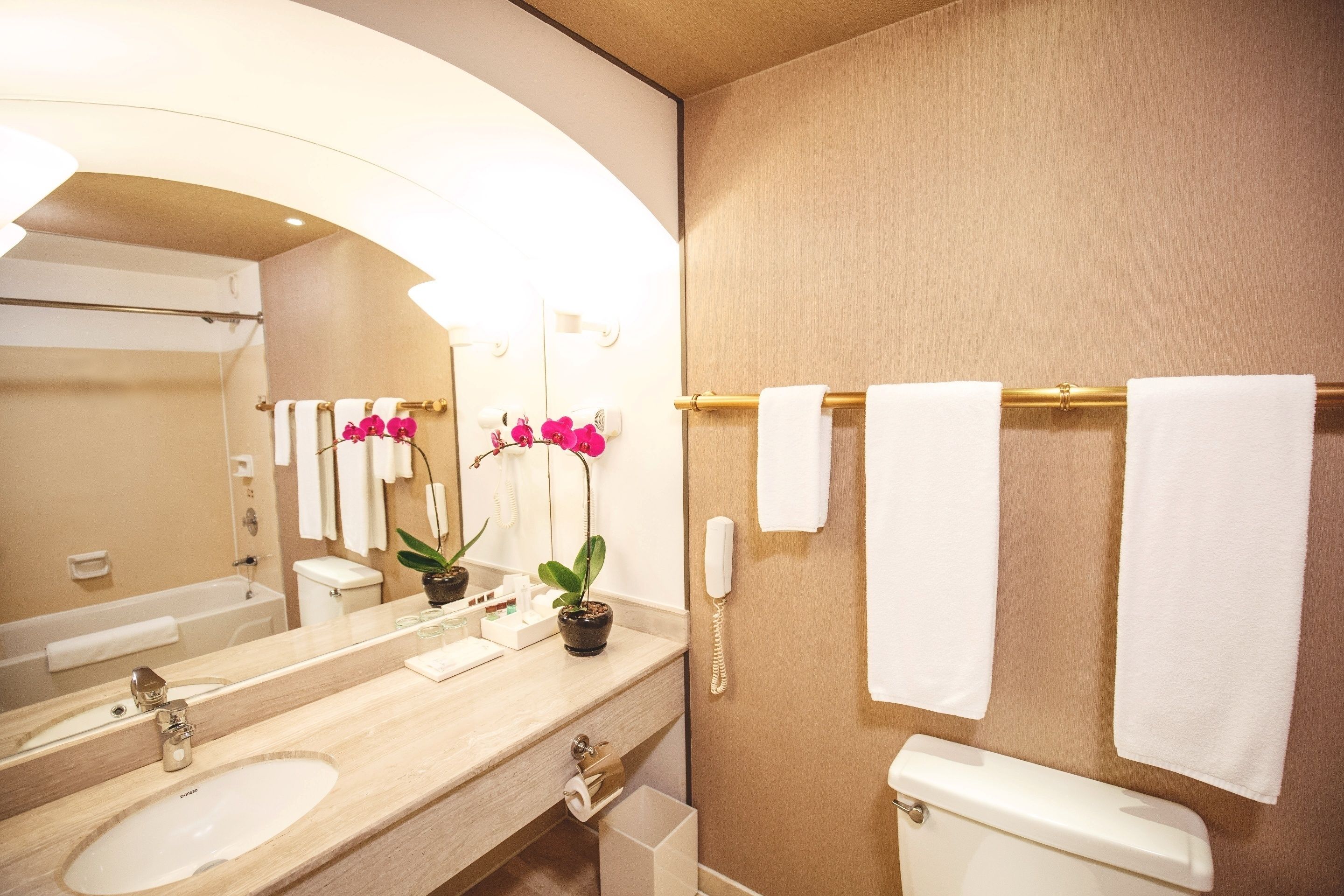 Un baño de hotel con un espejo grande, un lavabo, un inodoro y un perchero para toallas.