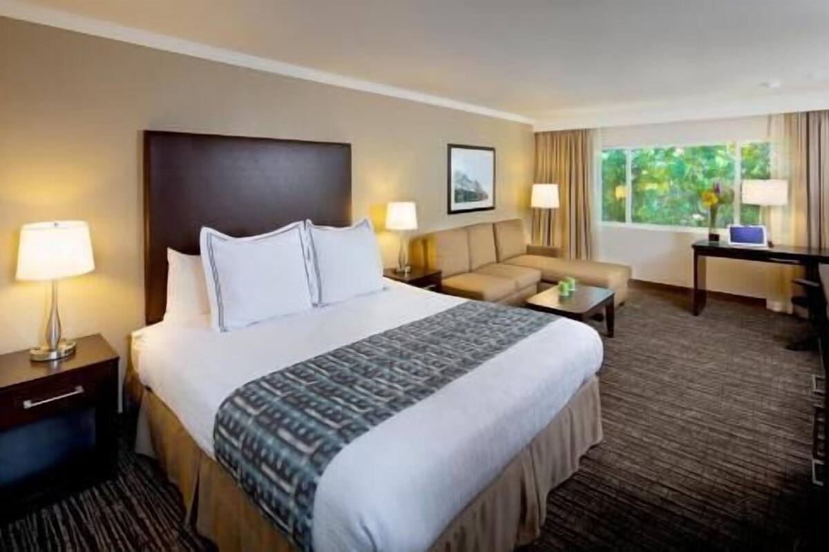 A hotel room with a large bed, a sofa, a desk, and a window with a view of greenery.