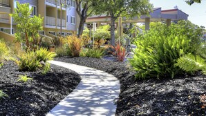 A pathway surrounded by landscaped areas with various plants and a multi-story building in the background. - Best Western Plus Garden Court Inn (Fremont)