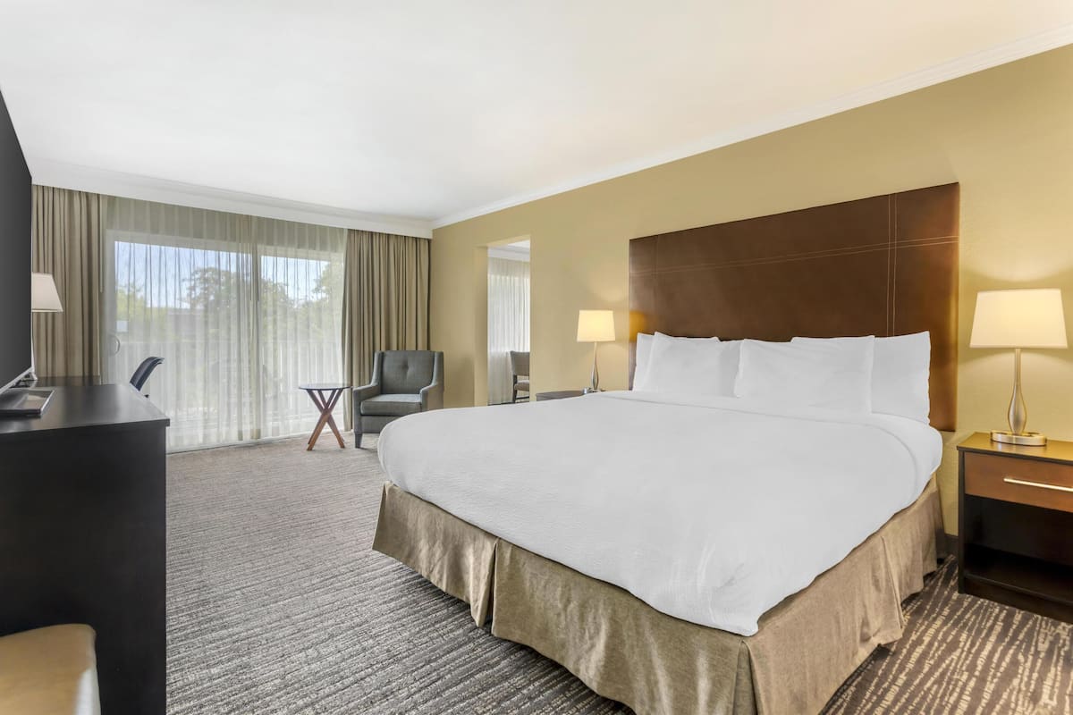 A hotel room with a large bed, a desk, a chair, and a TV.