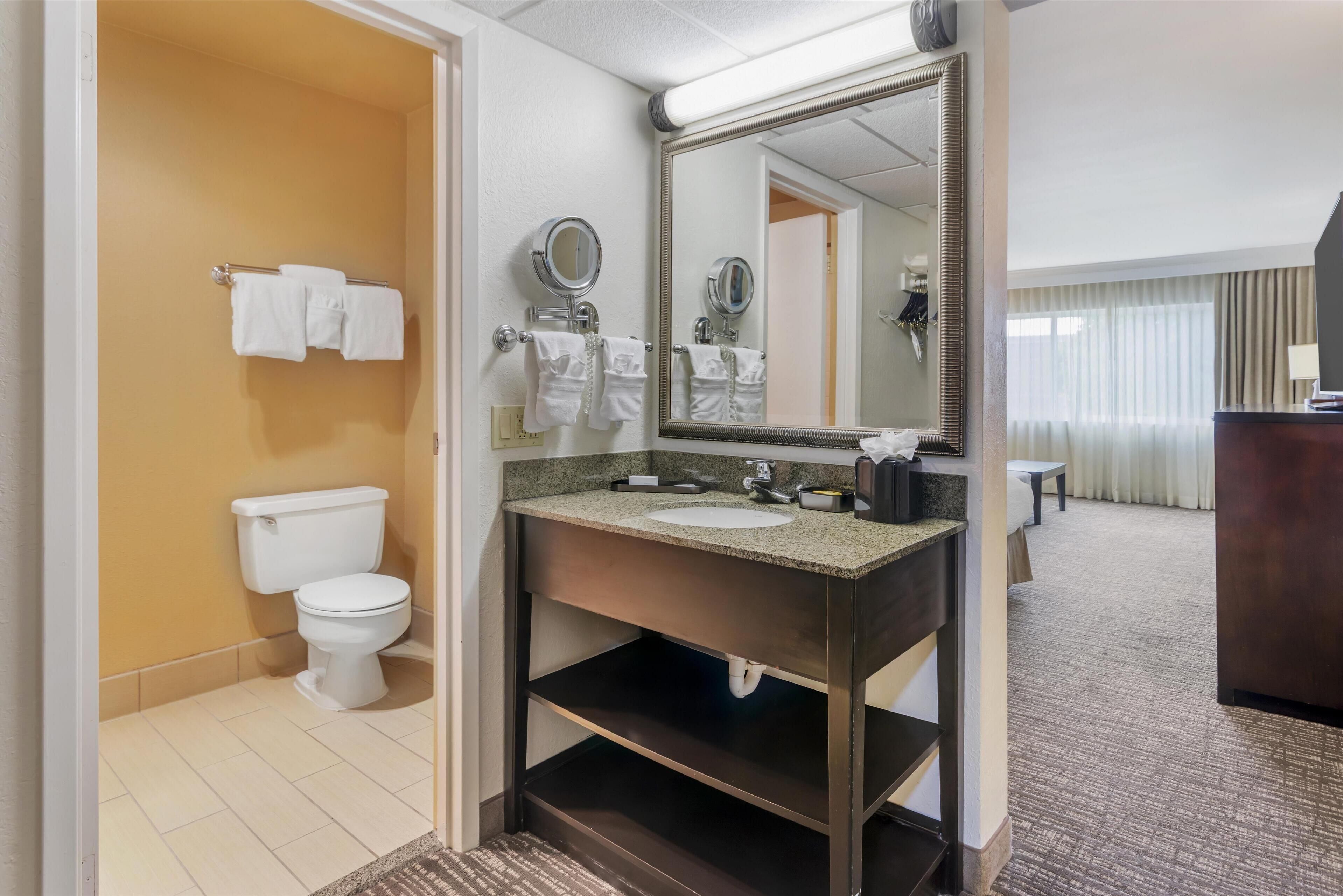 Une salle de bain d’hôtel équipée de toilettes, d’un lavabo et d’un miroir.