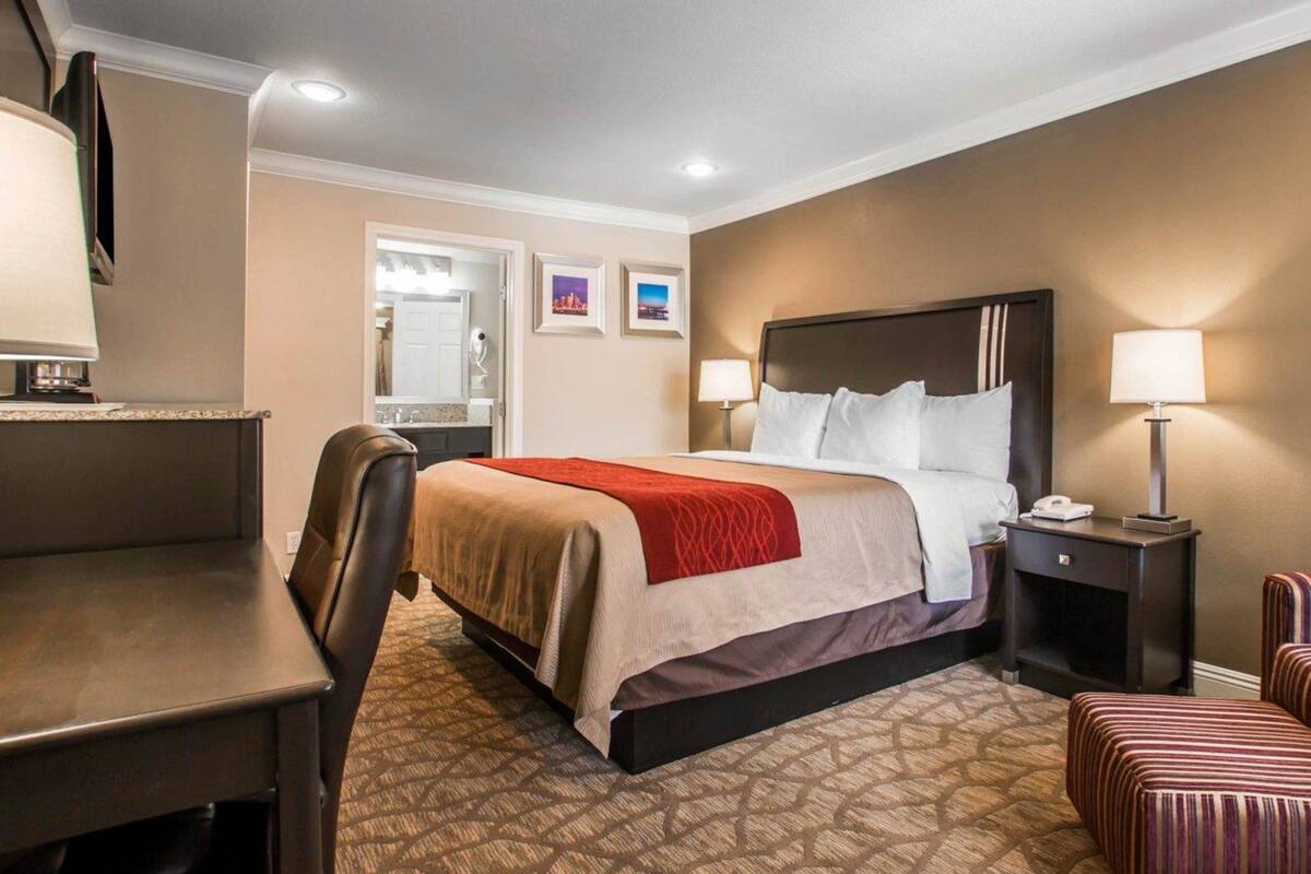 A hotel room with a bed, a desk, a chair, a nightstand, and a lamp.