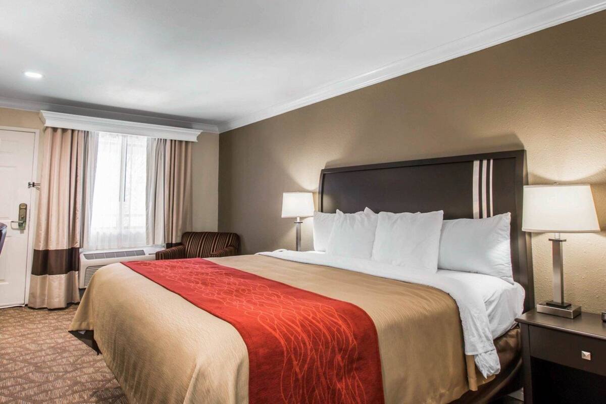 A hotel room with a large bed, two bedside lamps, a window with curtains, and a door.