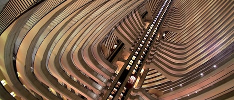 Vista des de l'allotjament