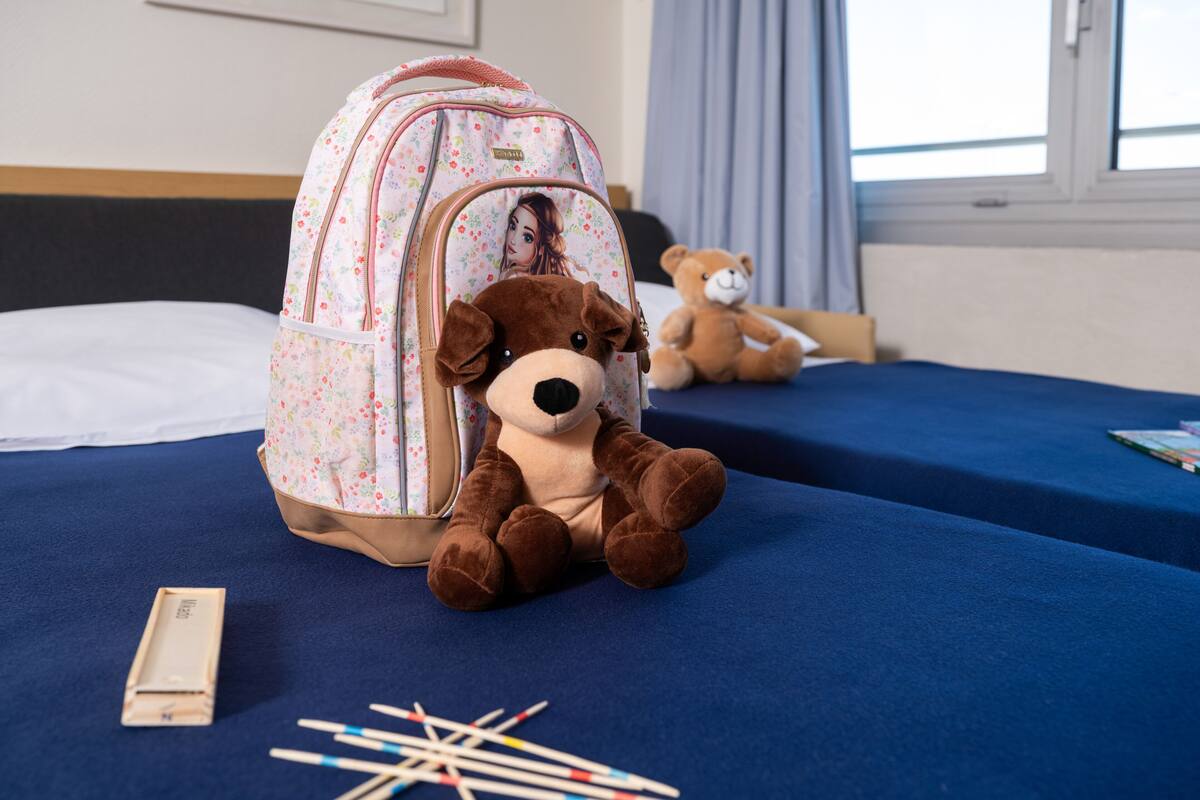 classic double room, 1 double bed with sofa bed | premium bedding, in-room safe, desk, blackout curtains