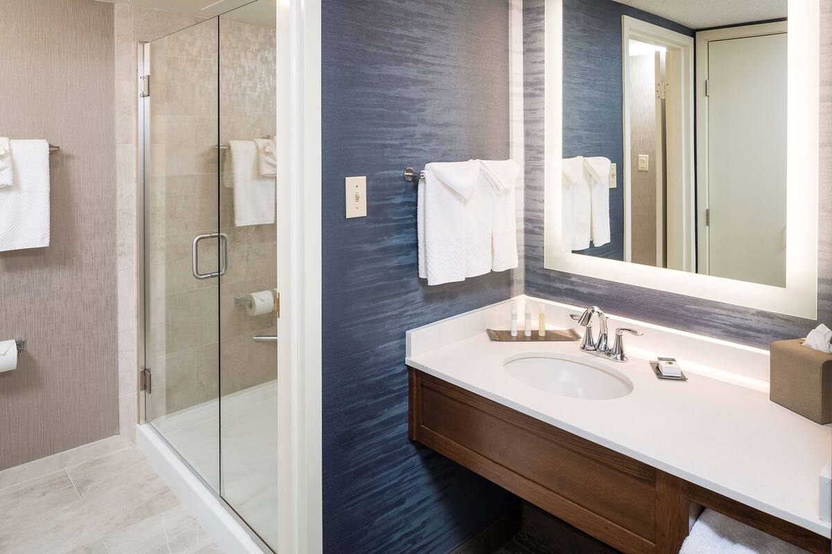 room, 1 king bed, balcony, courtyard view | bathroom shower