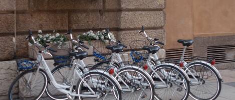 A row of bicycles parked against a stone wall with a planter of white flowers.