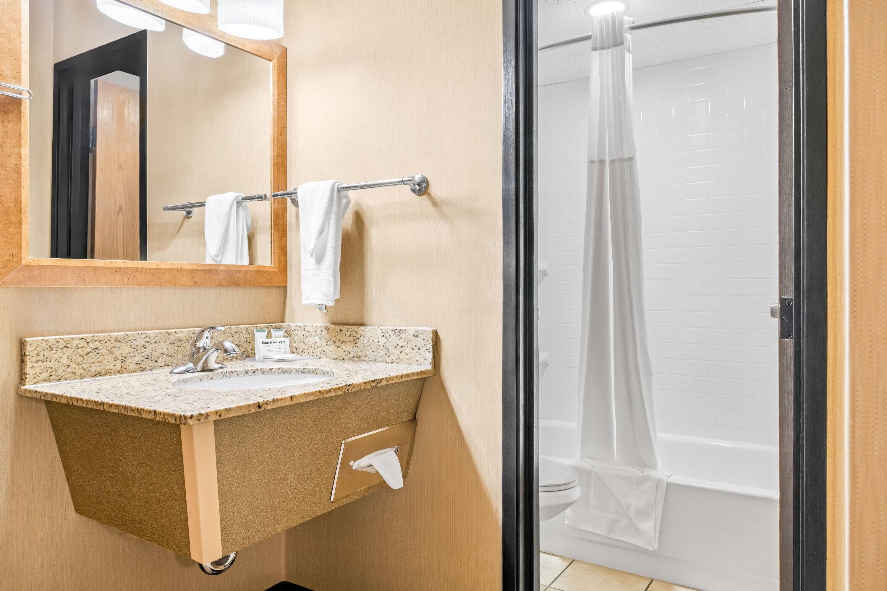 Un bagno con lavabo su piano in granito, uno specchio e una doccia con porta in vetro.