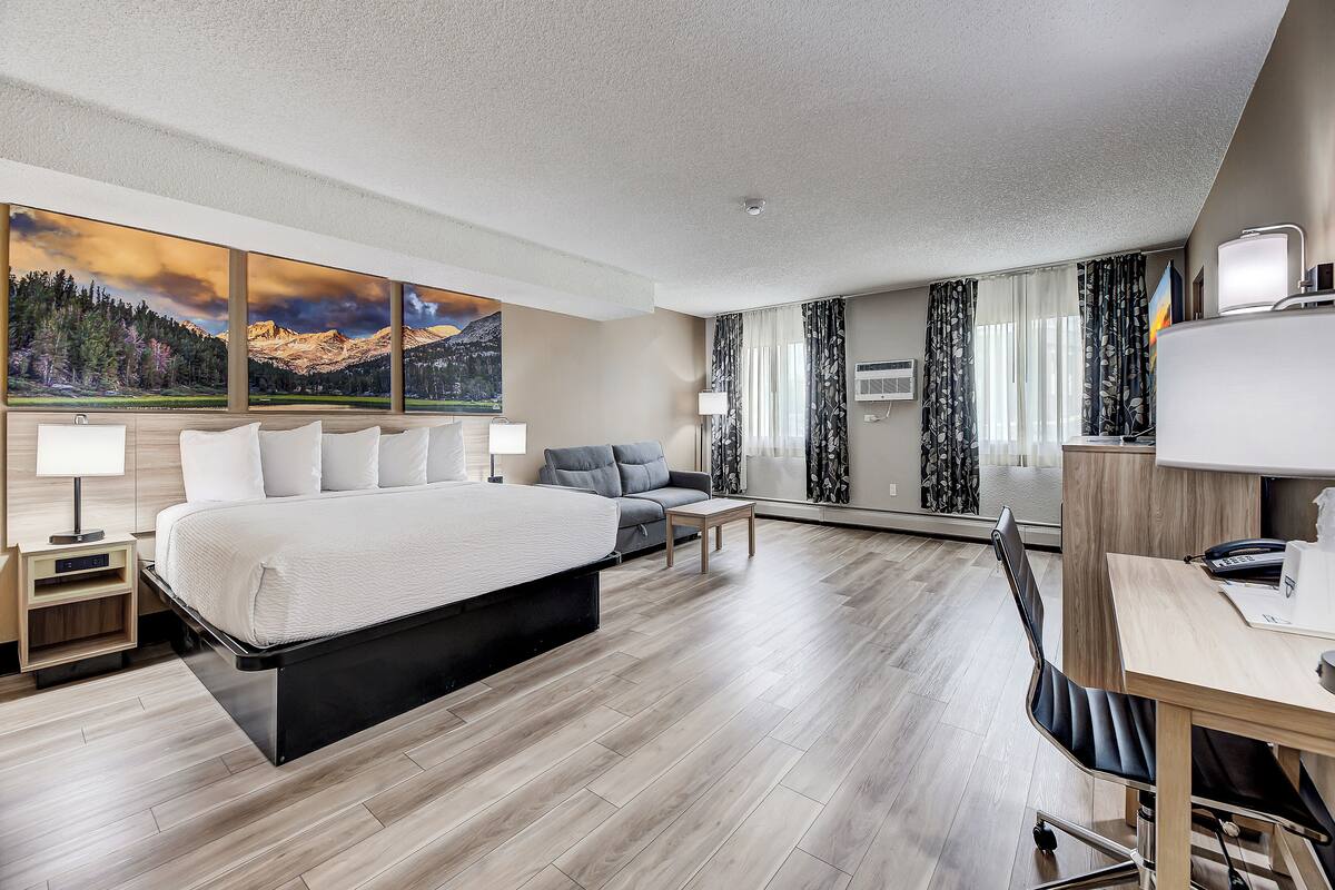 Ein modernes Hotelzimmer mit einem großen Bett, einem Schreibtisch, einem Sessel und einer Couch.