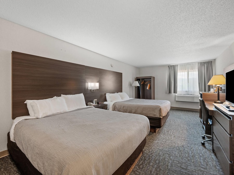 Habitación estándar, 2 camas de matrimonio, no fumadores | Ropa de cama de alta calidad y escritorio