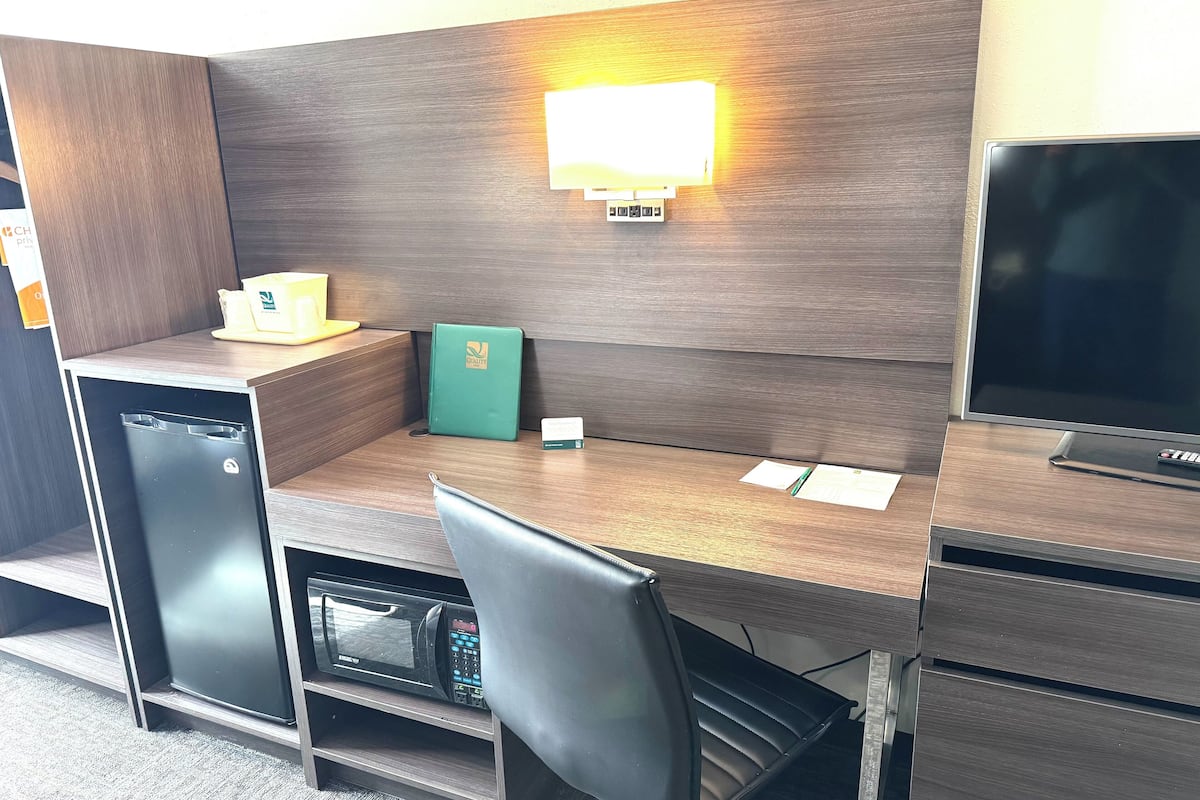 standard room, 1 king bed, non smoking | desk, laptop workspace, iron/ironing board, cots/infant beds