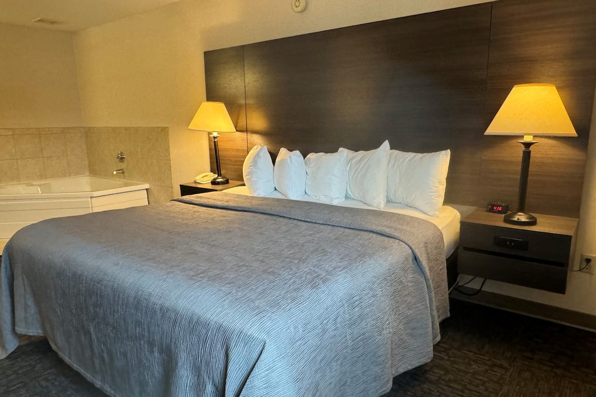 standard room, 1 king bed, non smoking | desk, laptop workspace, iron/ironing board, cots/infant beds