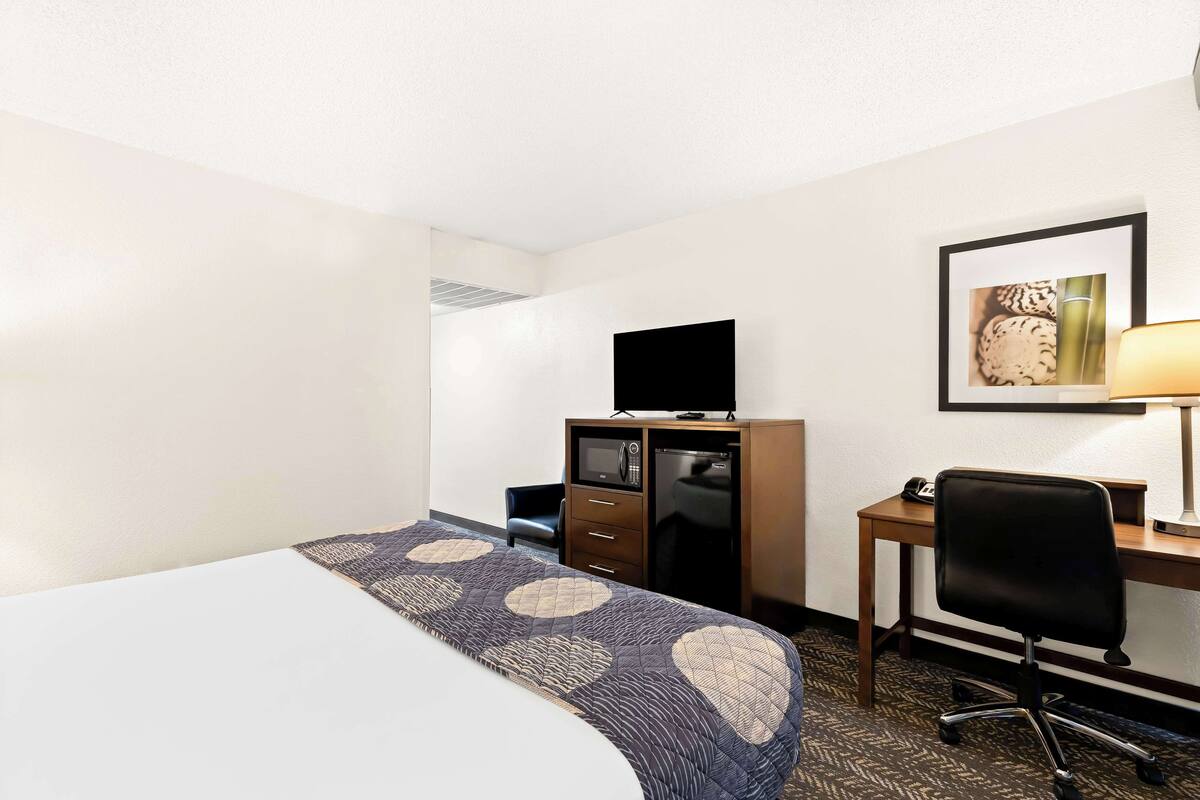 A hotel room with a bed, a desk, a chair, a television, and a framed picture on the wall.