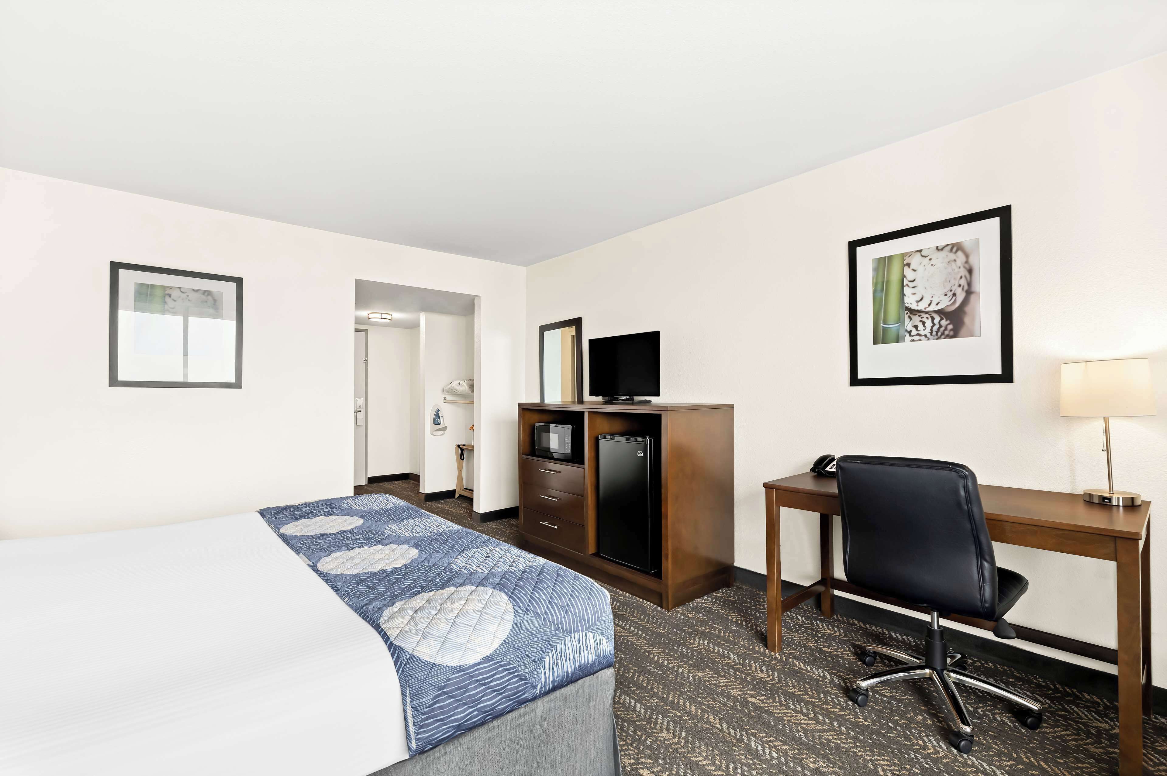 standard room, 1 king bed, accessible, non smoking | desk, blackout curtains, iron/ironing board, cots/infant beds