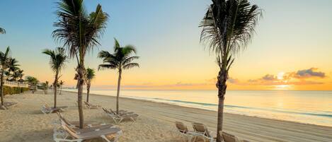 A beach with palm trees and sun loungers.
