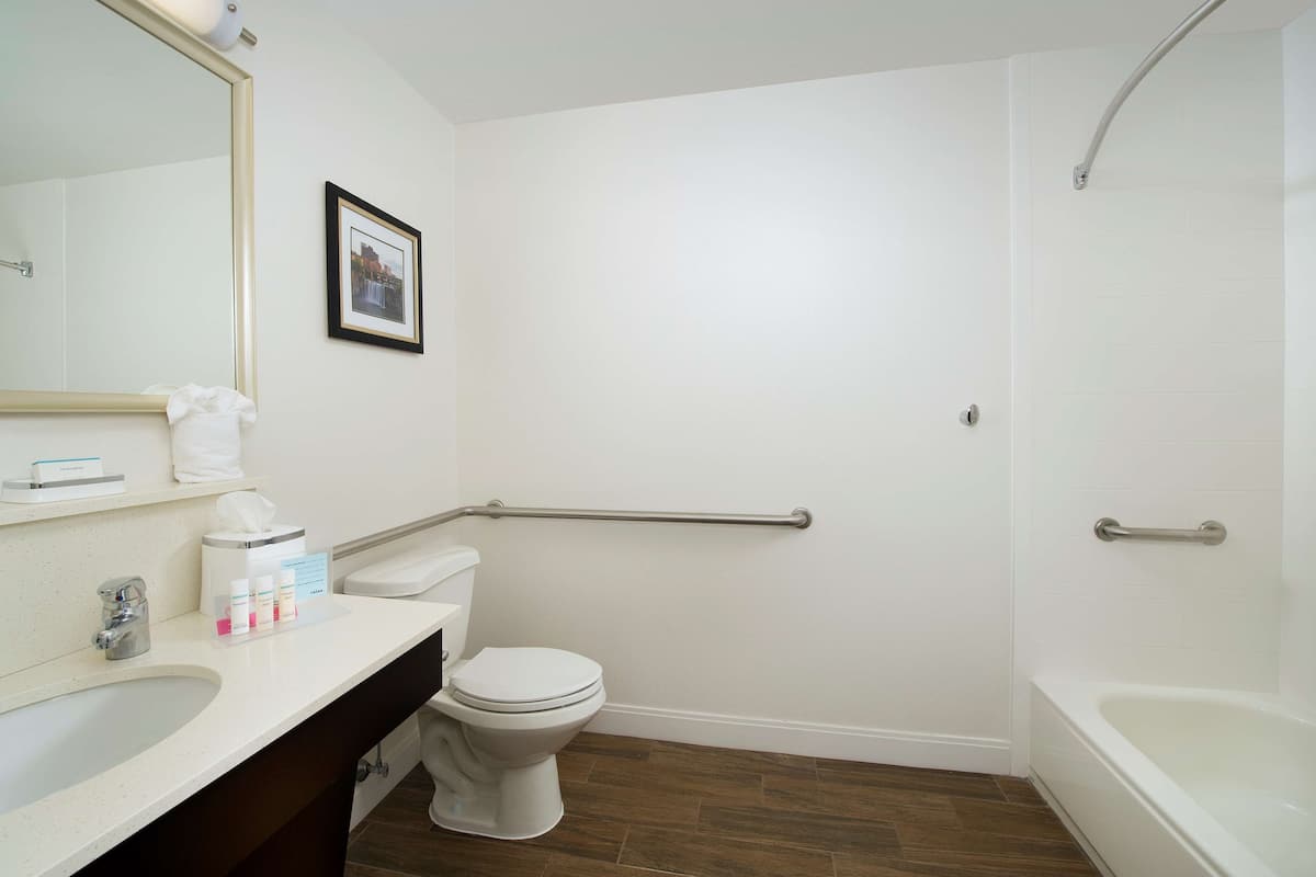 Chambre, 1 trÚs grand lit, accessible aux personnes à mobilité réduite, baignoire | Salle de bain | Articles de toilette (gratuits), séchoir à cheveux, serviettes fournies