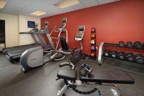 A gym with treadmills, elliptical machines, a bench press, and a rack of dumbbells.