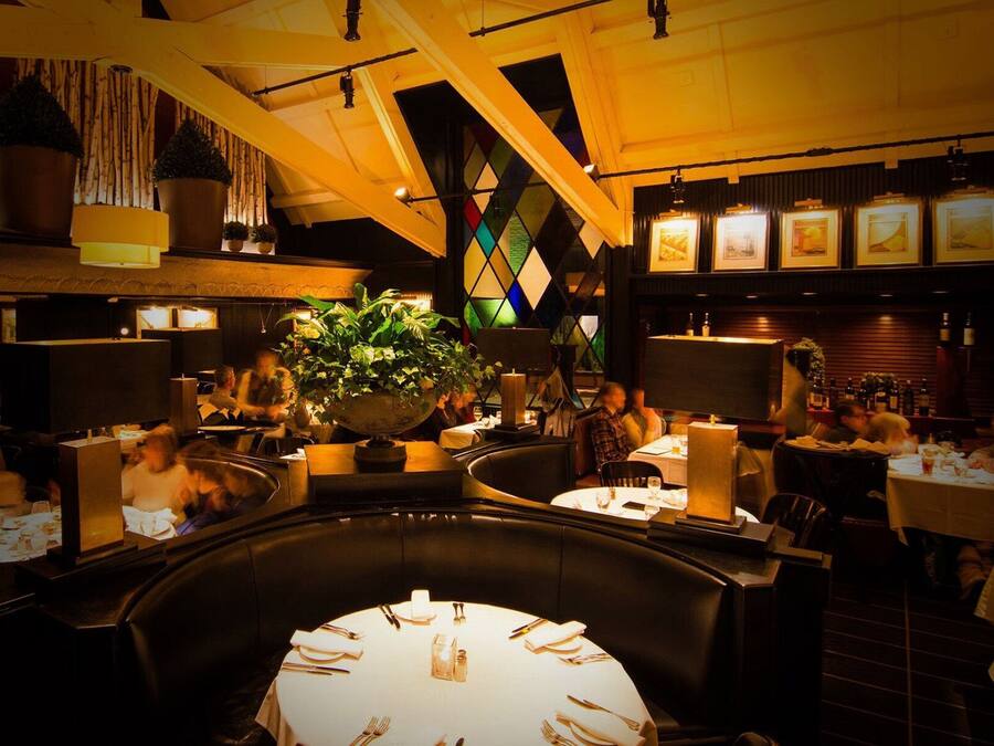 Un restaurant avec des tables rondes, des banquettes et une grande plante en pot au centre.