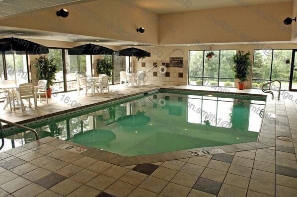 Indoor pool, sun loungers