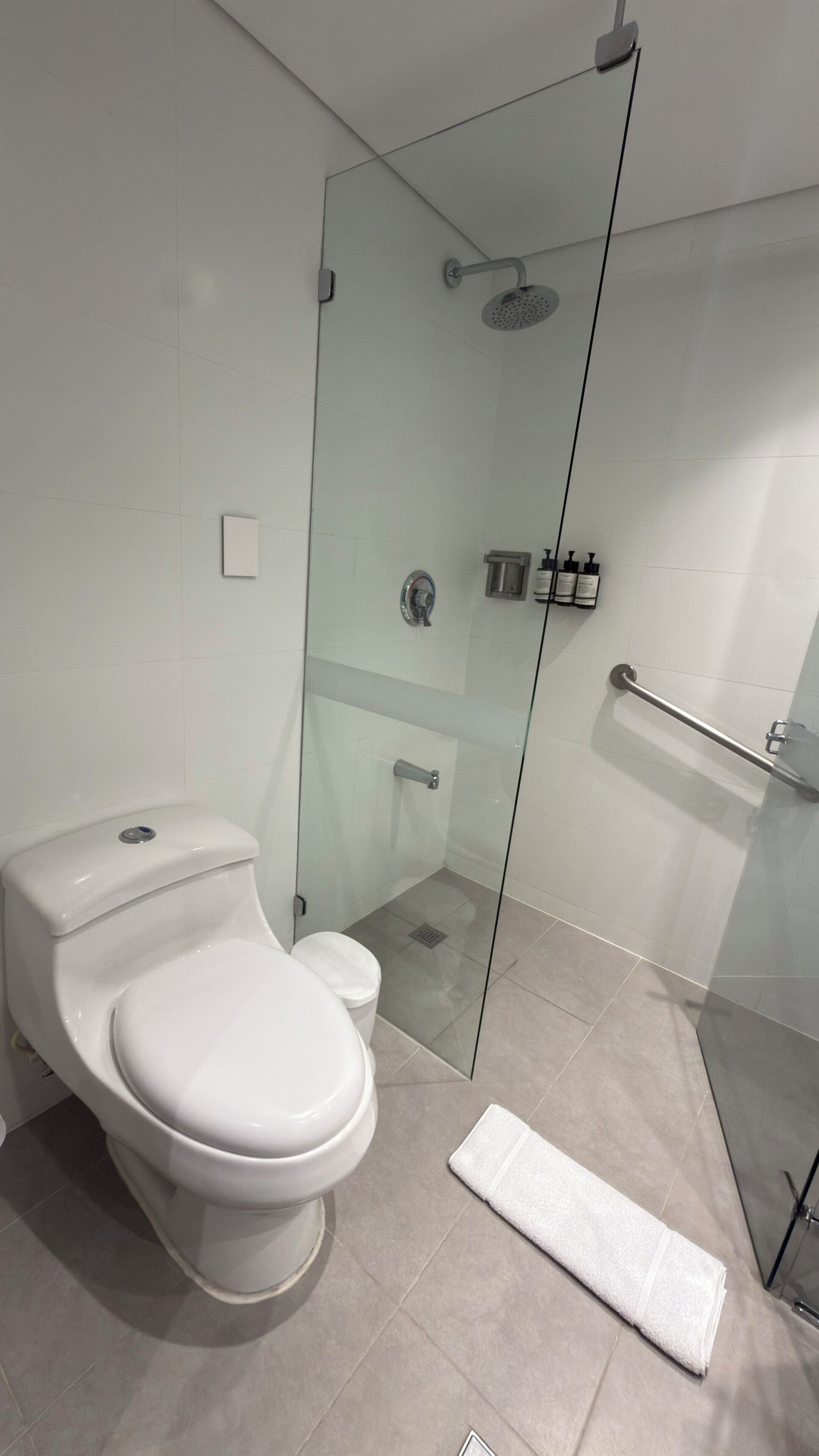 Une salle de bain moderne avec une douche à parois de verre, des toilettes et une serviette sur le sol.