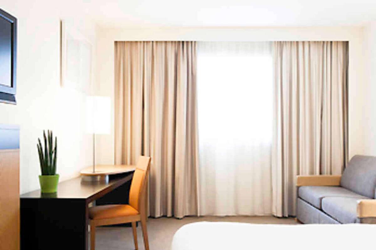 A hotel room with a bed, a desk, a chair, a sofa, and a potted plant.