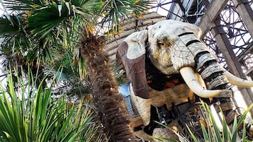 Aire de jeux - extérieure