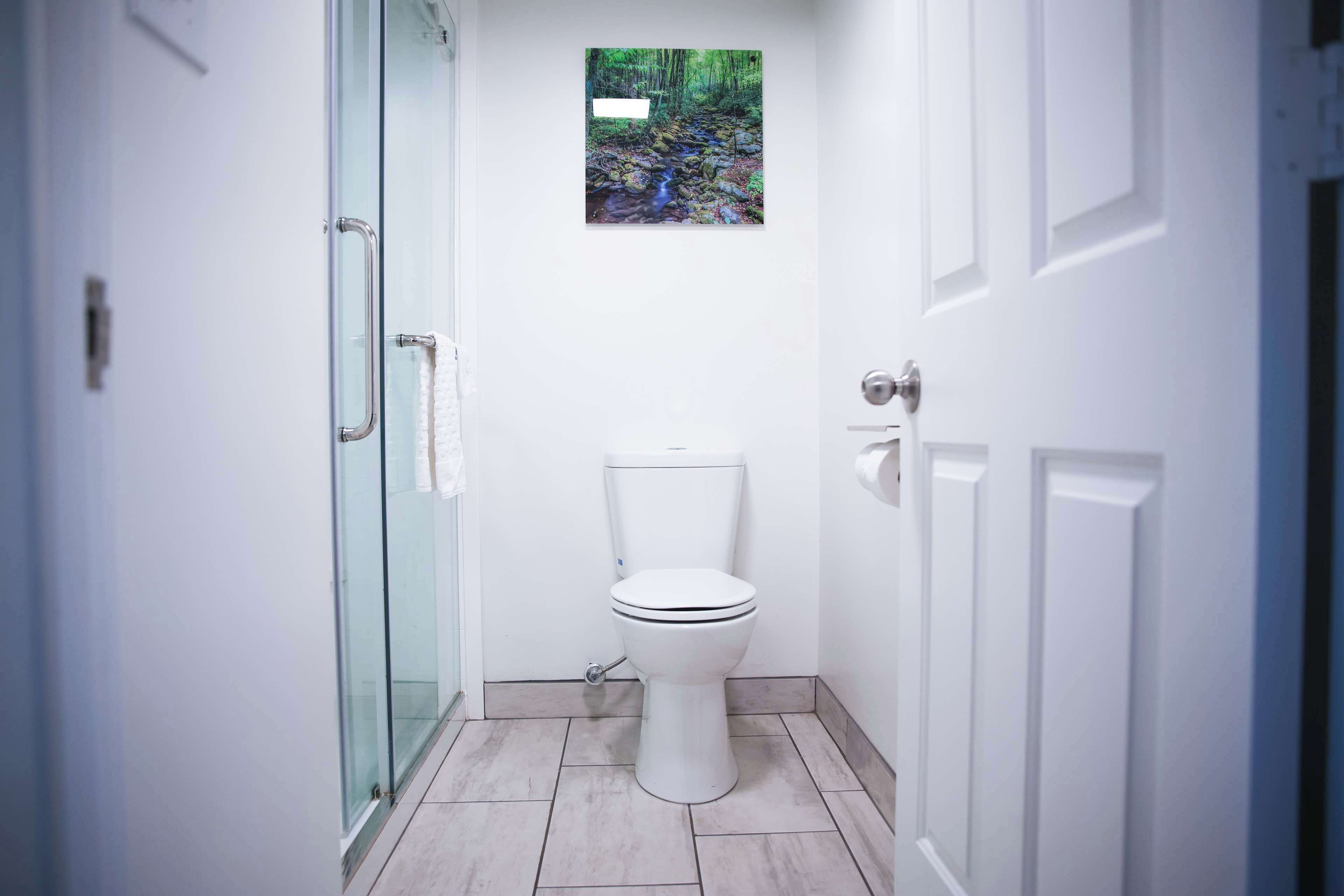Een moderne badkamer met een glazen douchecabine, een wit toilet en een klein, ingelijst beeld van een beek in het bos aan de muur.
