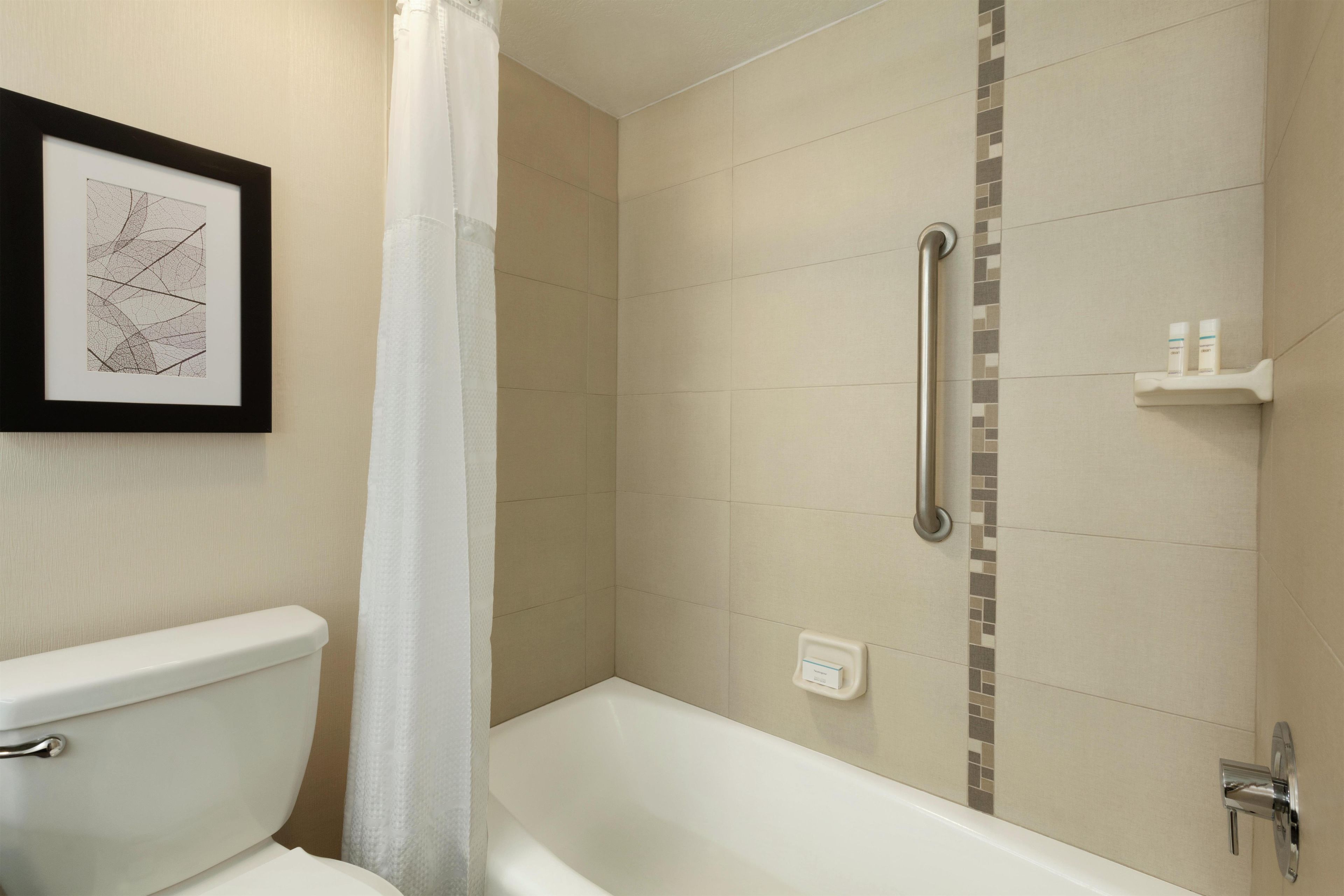 A bathroom with a bathtub, toilet, shower, and a framed picture on the wall.