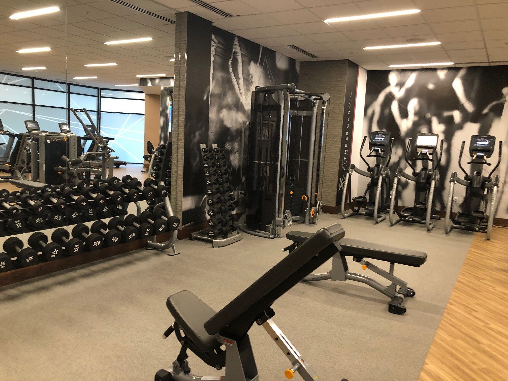 A gym with various exercise equipment, including dumbbells, a bench, and cardio machines.
