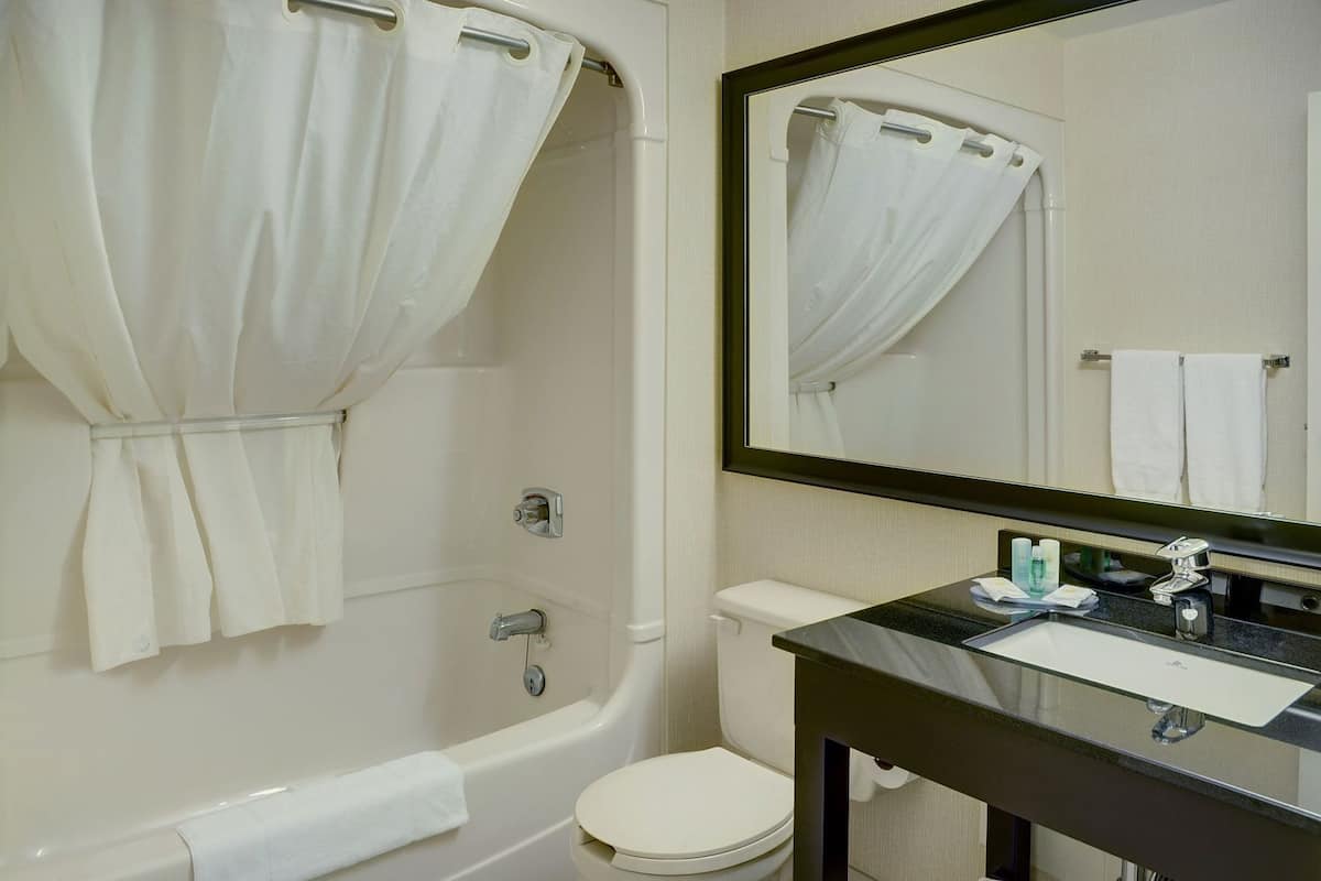 Bathroom | Combined shower/tub, free toiletries, hair dryer, towels