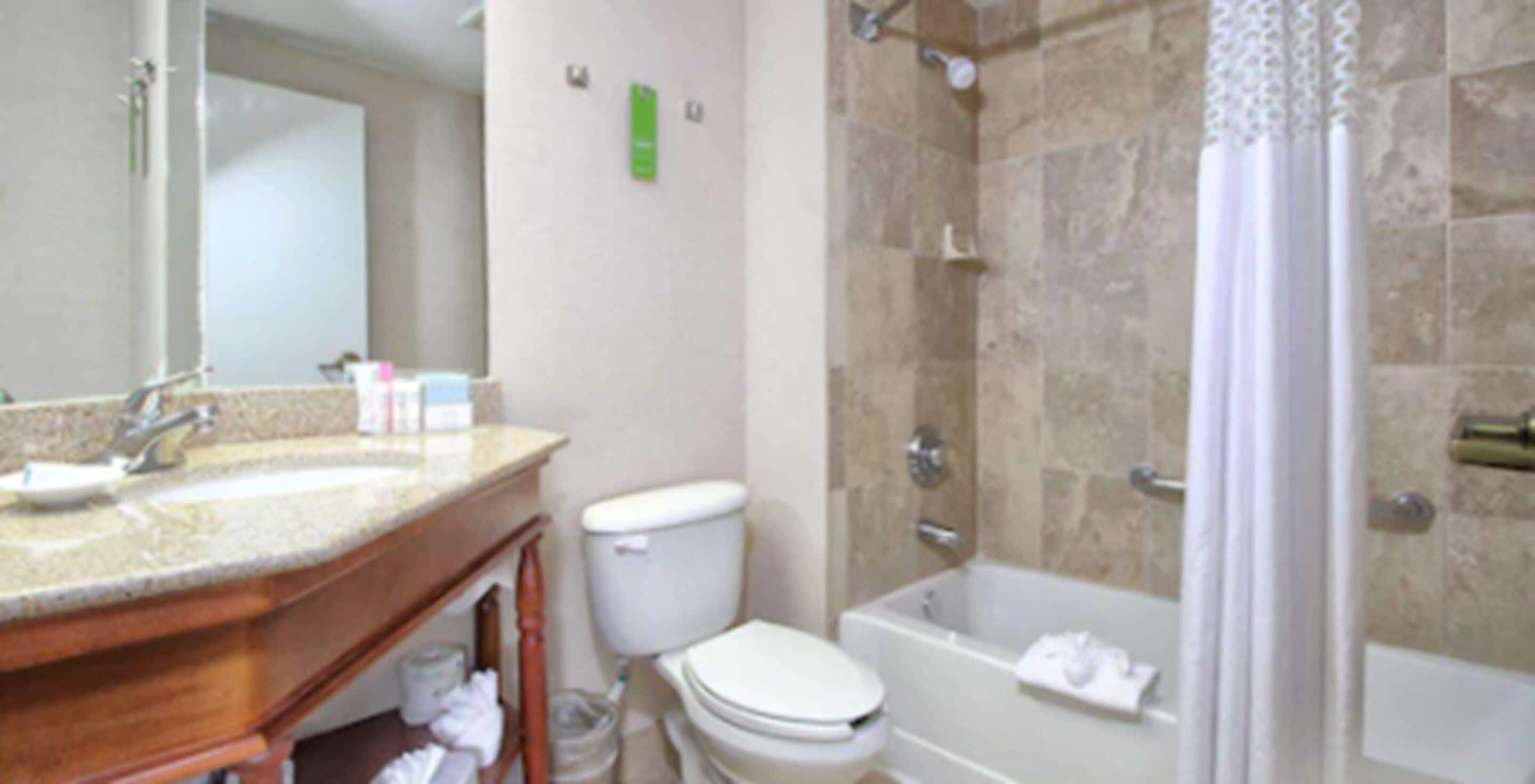 combined shower/bathtub, free toiletries, hair dryer, towels